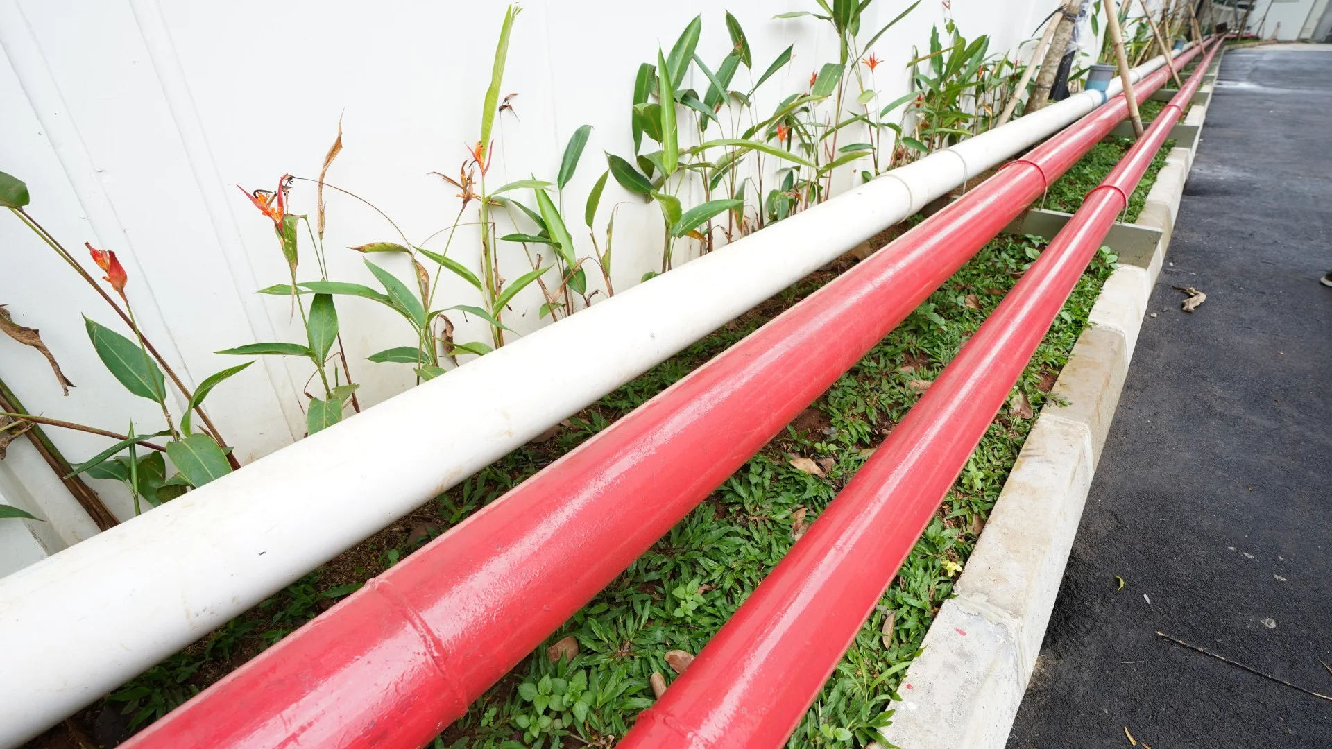 Foto galeri Gedung Baru Palang Merah Indonesia (PMI) DKI Jakarta 16